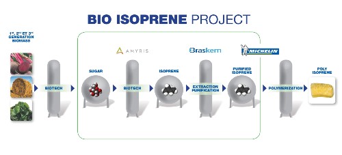michelin bio isopren project Bio Isoprene Project   opony z roślin