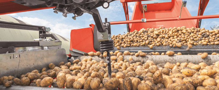 Miedema sortowniki Smart Miedema   holenderskie maszyny do uprawy i składowania ziemniaków
